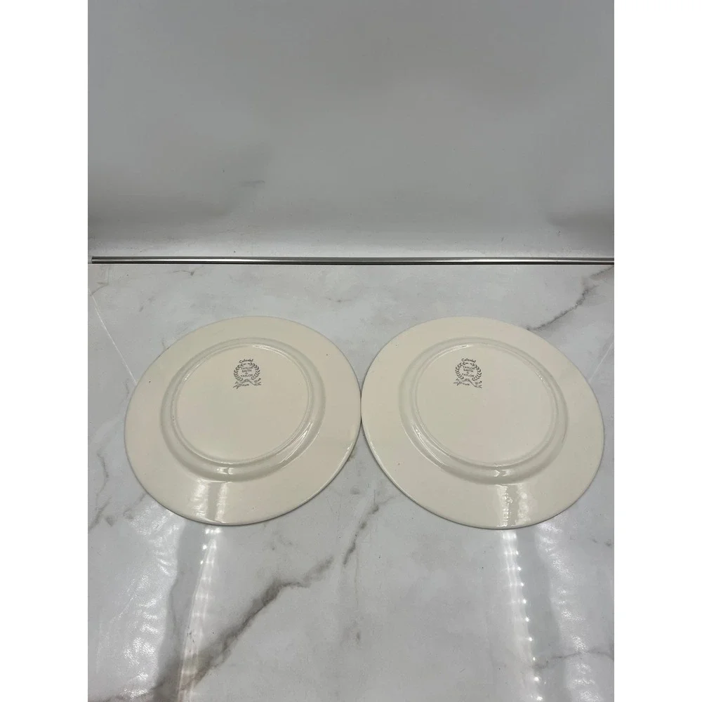 Taylor Smith & Taylor Colonial Platinum Blue Dinner Plates Set of 2 Turquoise